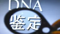 河南峰创司法鉴定所可以做哪些鉴定?鉴定项目及办理范围介绍