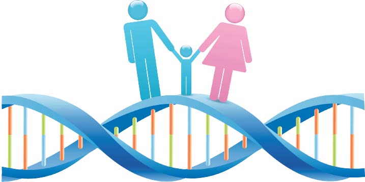 同父异母或同母异父的兄弟姐妹可以做亲子鉴定吗？